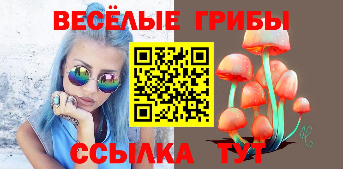 Галлюциногенные грибы мухоморы  Вход с VPN  продажа наркотиков  Дальнереченск 